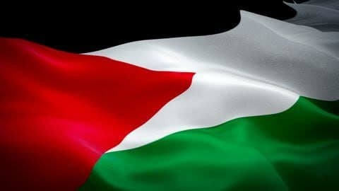 Palestinian Factions Convene in Cairo to Negotiate National Unity and PLO Reform