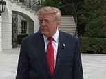 Boris Johnson, Rus yakıt anlaşması nedeniyle Trump'ı sert eleştirdi ve Zelensky'nin istifasını istedi