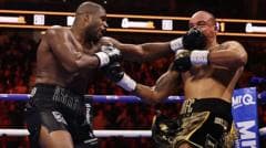 دانييل دوبوا يحتفظ بلقب WBO للوزن الثقيل بفوز ساحق على فابيو واردلي