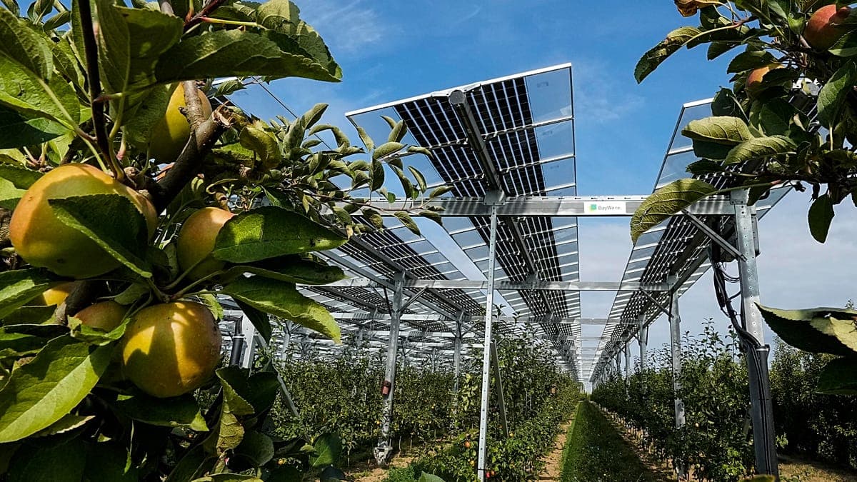 Agrivoltaik: Yenilenebilir Enerji Hedefleri ve Tarımsal Sürdürülebilirlik