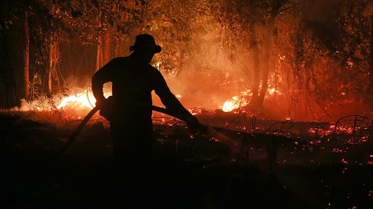 Trees lie in a deforested area of the Amazon rainforest in the municipality of Autazes, Amazonas state, Brazil, Oct. 15, 2026. (AP Photo/Edmar Barros)
AP Photo / AP Photo/Edmar Barros