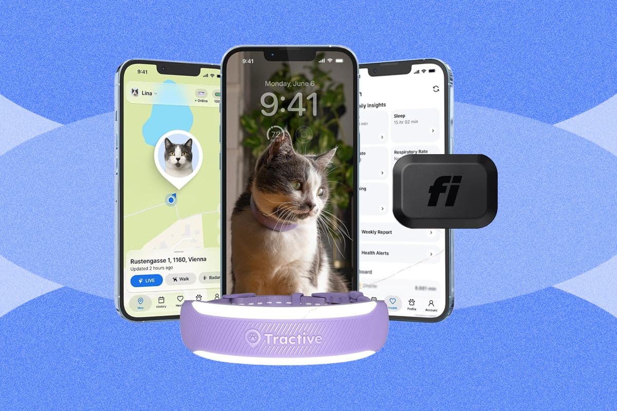أفضل أجهزة تتبع القطط الذكية لعام 2026: Fi Mini مقابل Tractive