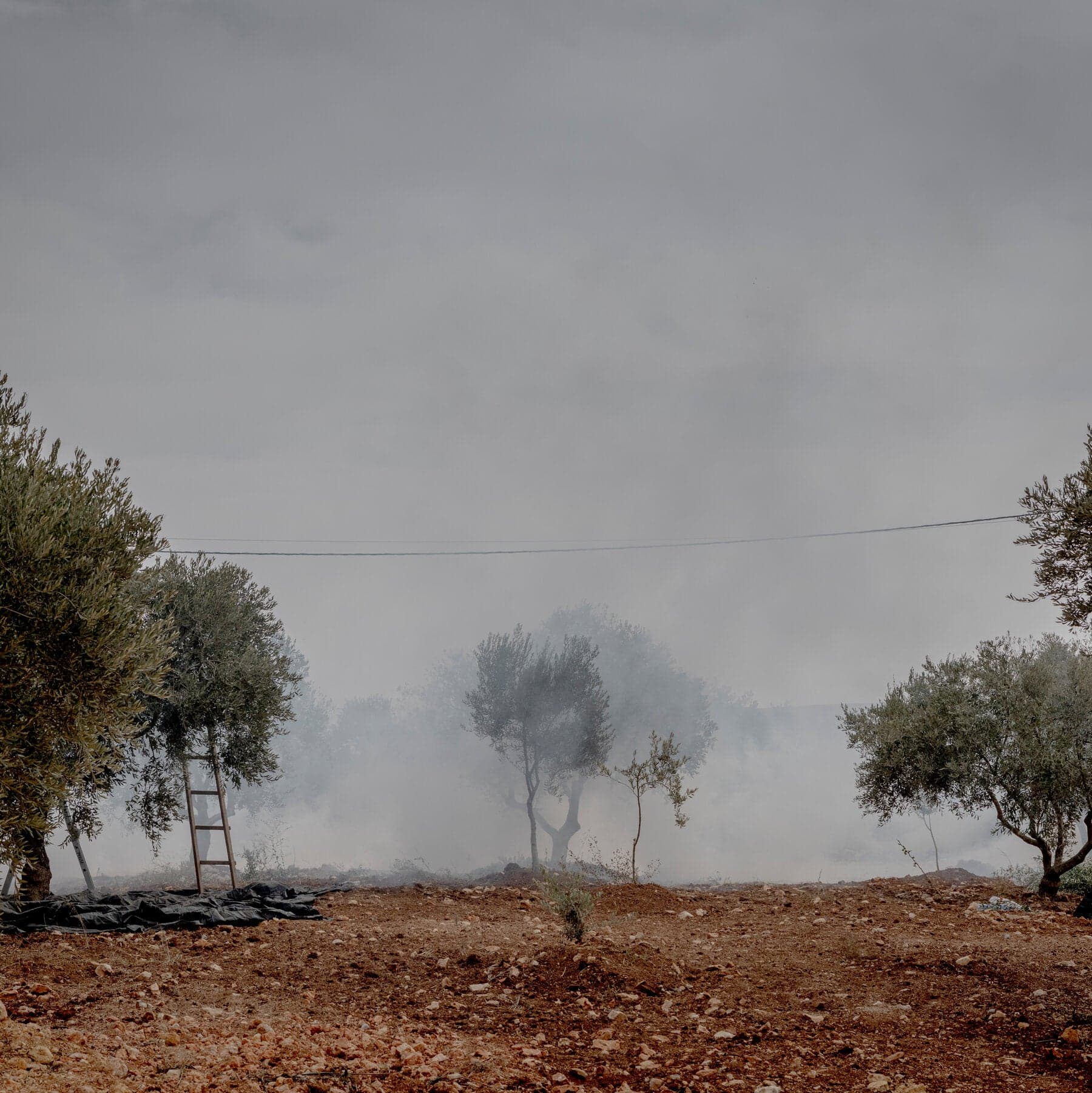 مستوطنون إسرائيليون يهاجمون فلسطينيين ودبلوماسيين أوروبيين في الضفة الغربية